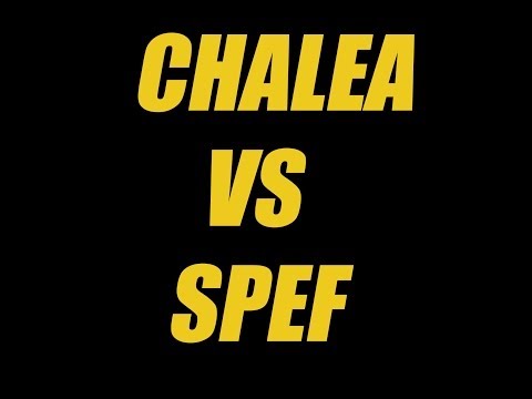 CHALEA VS SPEF | FINAL | THE HIPHOP PARTY | MONTCADA 2014