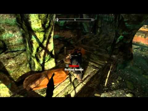 Skyrim Assassin Legendary Difficulty 05