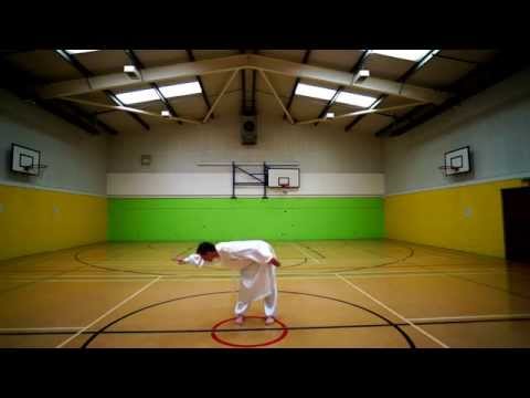 Wudang Advanced Short Form - Matt Hammond