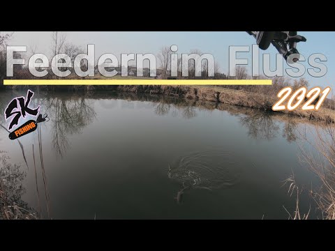 Feedern im Fluss! Allround mit dem Futterkorb (Rolle nicht Stark genug ?!) (Friedfisch)