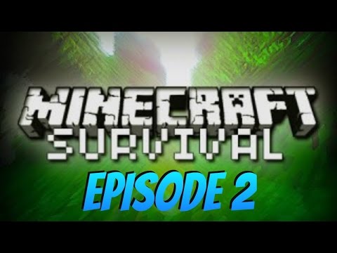 Minecraft Survial W/Henri's Life! #2