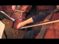 Nashville Silver Strings