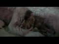 NeverEnding Story Tribute with Chapterhouse - Love Forever (Ulrich Schnauss Remix [Instrumental]) HD