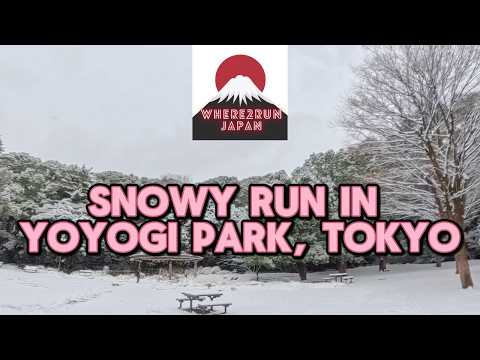 …or should I say Snow-yogi Park?! Zero degrees but zero complaints! Would you run here? #japan #run