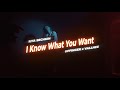 ILYA SECHKIN x UPFINGER x VALLHEE - I Know What You Want