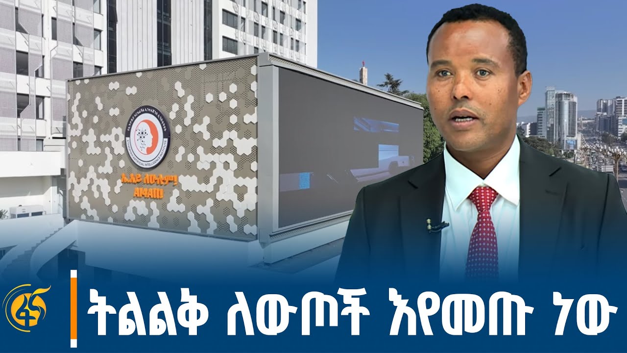 የኢትዮጵያ አርቲፊሻል ኢንተለጀንስ ኢንስቲትዩት ዋና ዳይሬክተር ወርቁ ጋቸና (ዶ/ር) ?