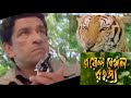 Royal Bengal Rahasya Feluda Fight With Tiger