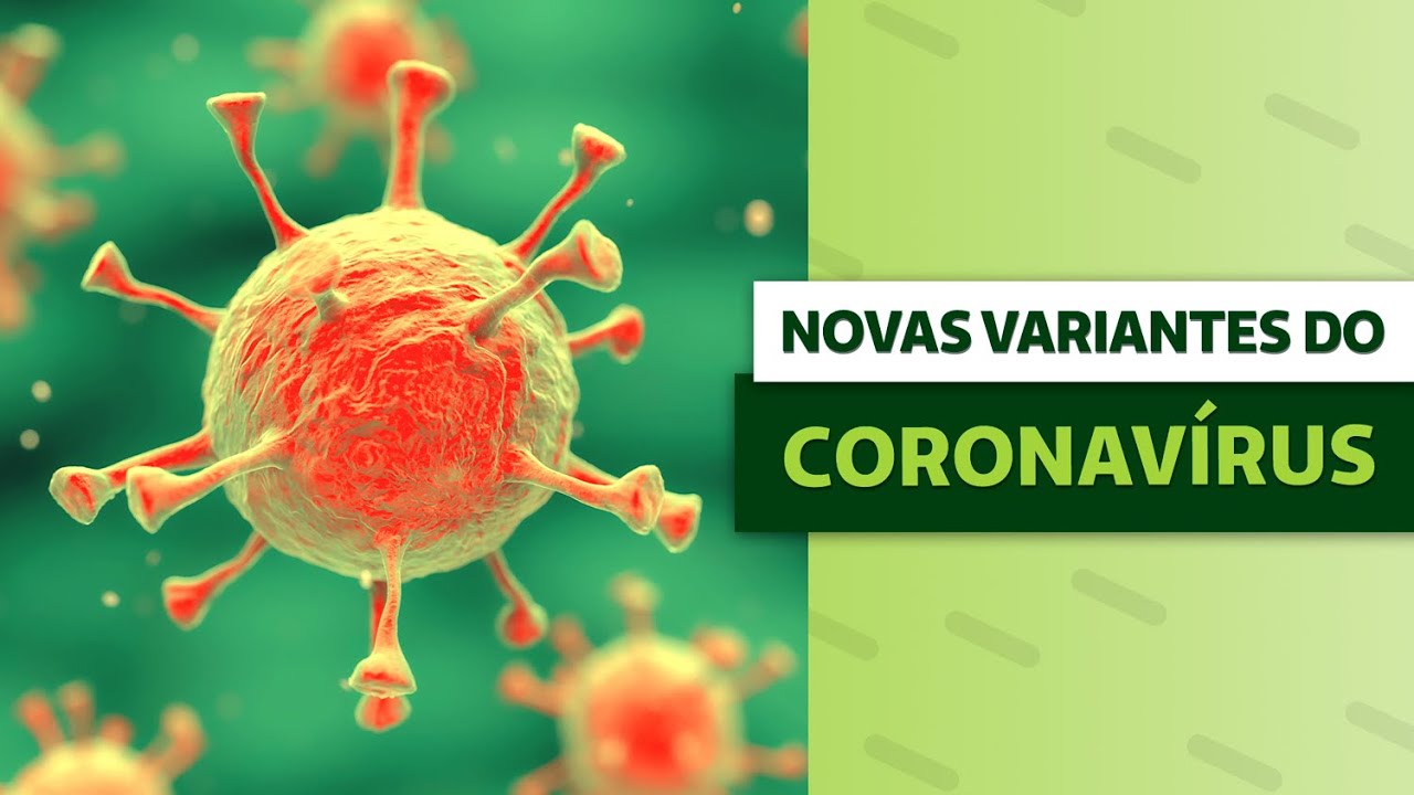 Lícia Borges Pontes-4