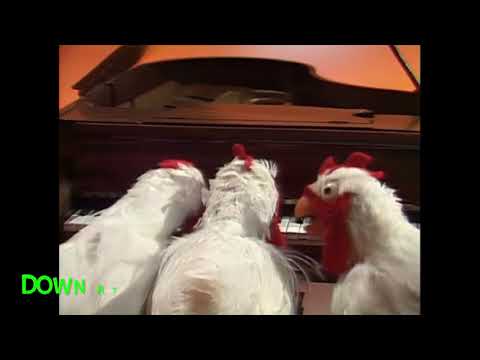 Muppet Songs: Chickens - Down at Papa Joe's
