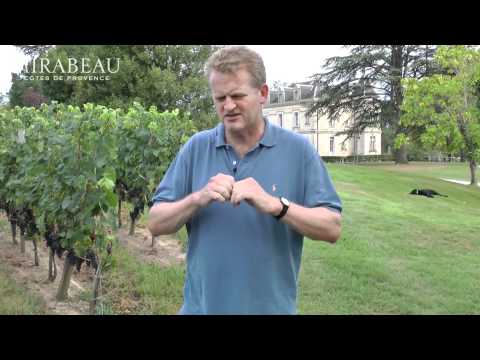 What is Claret? with Gavin Quinney