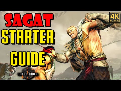 Sagat Ultimate Starter Guide - Street Fighter 6