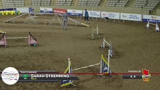 Felix Standard Team Cynosport 2021