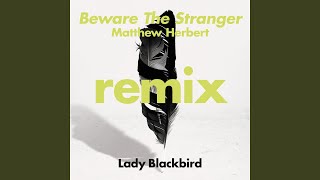 Beware The Stranger (Matthew Herbert&#39;s Wanted Instrumental)