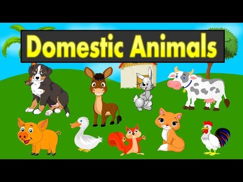 Domestic Animals names for kids | Farm Animals youtube | Kid2teentv Video