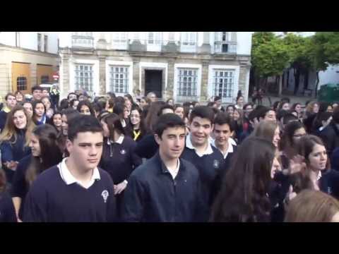 compañia de maria jerez 2013 dia de la fe