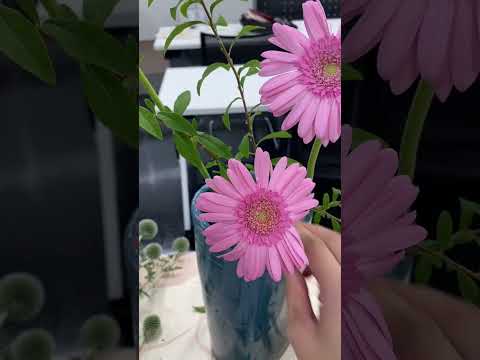 大学３年生の華道Vlog #観葉植物 #florist #ガーデニング