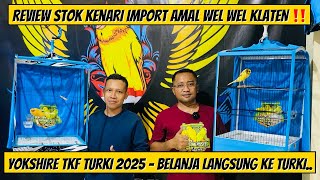 Download lagu THE BEST IMPORTED CANARY BREEDING MATERIALS IN KLATEN ‼️ mp3 Download lagu THE BEST IMPORTED CANARY BREEDING MATERIALS IN KLATEN ‼️ mp3