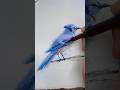Blue Jay Bird Watercolor Painting Tutorial #everydaywatercolor #watercolortutorial