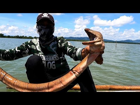 EP269:PART1-PAGHULI NANG MALALAKING MALABANOS