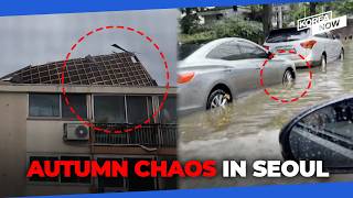 Heavy autumn rain batters Seoul, flooding roads and toppling trees
