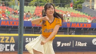 【Passion Sisters】#少鹽#莎莎#儀諪#  衣宸#陳子豪應援曲#台湾チアリーディングチーム#中華職棒#CPBL#洲際#20241005
