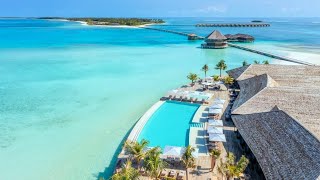 Jawakara Mabin Maldives 🐬 April 2024 🌞