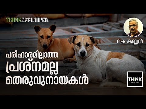 പരിഹാരമില്ലാത്തപ്രശ്‌നമല്ല; തെരുവുനായകള്‍ | Stray Dog Menace In Kerala | K.Kannan | Explainer