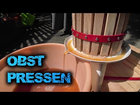 6 L FRUIT PRESS | Reviews | Press APPLE JUICE yourself