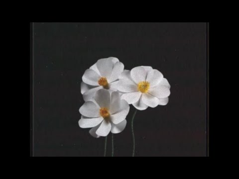 ピコン - 再生  ft. 初音ミク