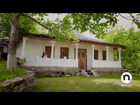 Virginia Moraru - Dragostea-i o floare