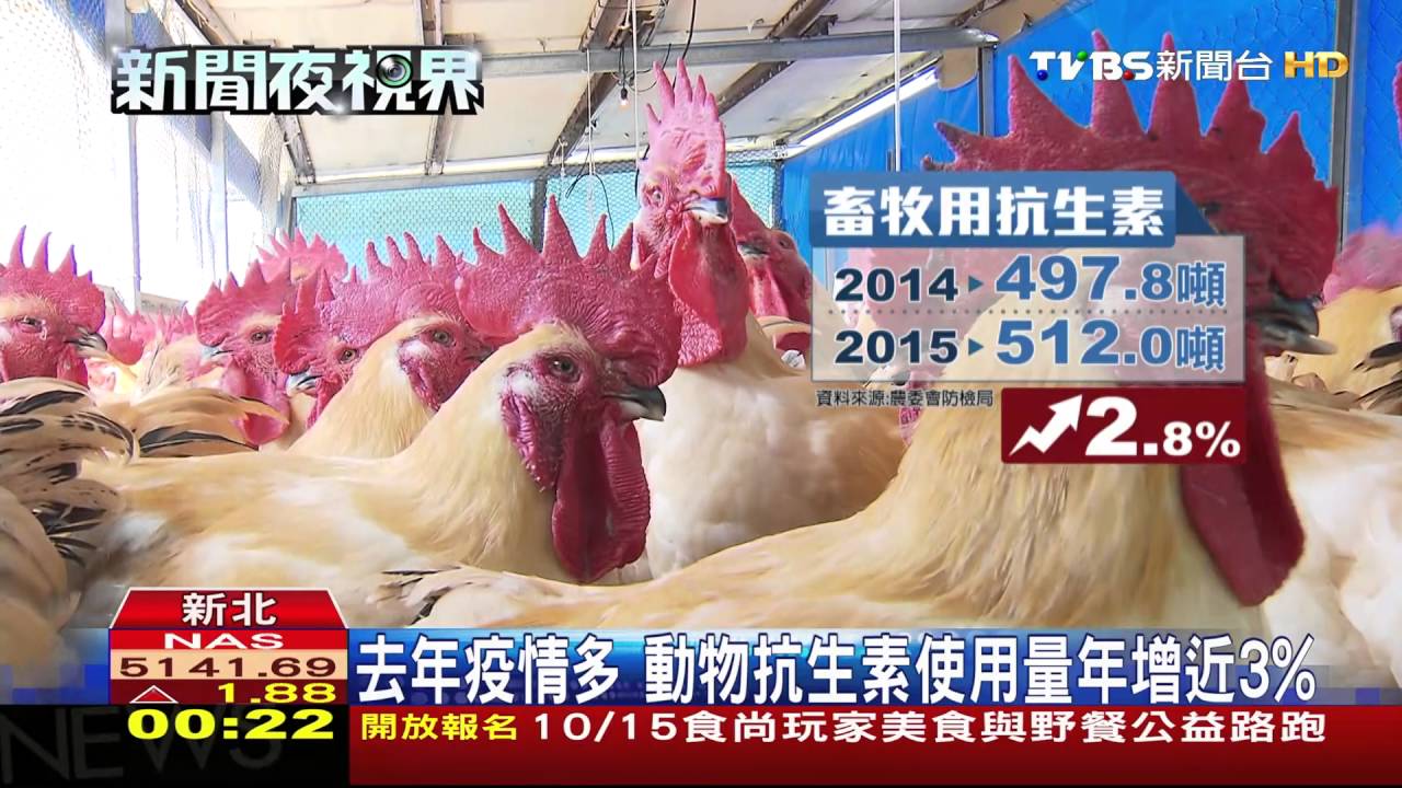 人病痛吃、禽畜疫情也施打 抗生素恐濫用!