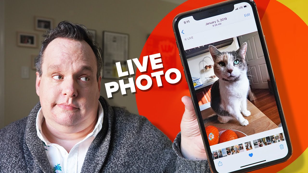 What I found on my iPhone: just this cool Live Photo thing 🤳