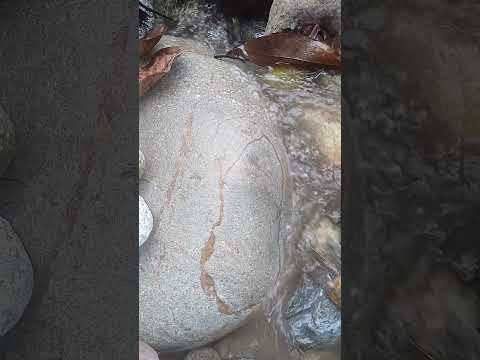 miren 👇 lo que paso en arboledas norte de Santander Colombia