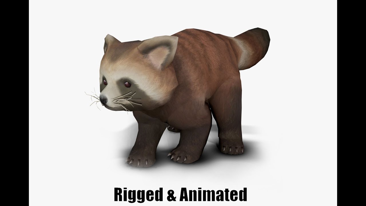 Aniamted red panda 3D Model