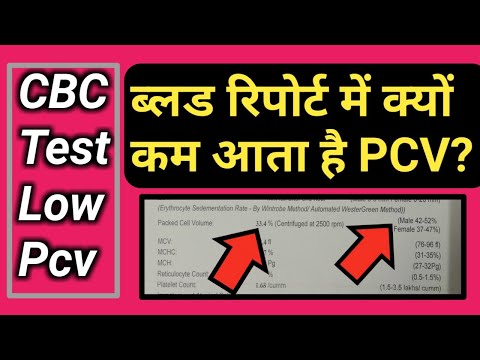 Low Pcv In Blood Test, Low Hematocrit, Pcv Low In Hindi, Pcv Low In Blood Test In Hindi, Packed Cell