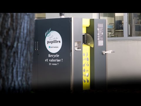 Station de compostage pour les établissements scolaires_3