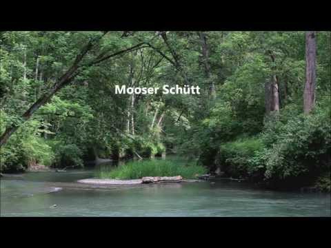 Deutschlands letzte Auwälder: Mooser Schütt