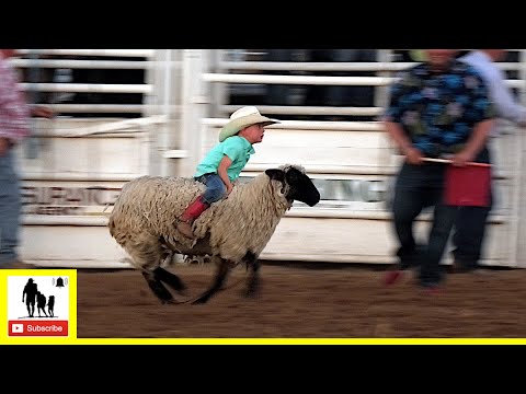 Mutton Bustin' 🦙 2021 Saint's Roost Ranch Rodeo | Saturday