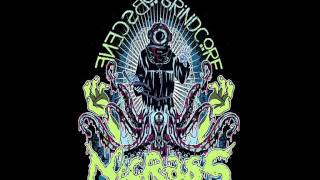 Necrass - Plasticazzo di ghiaccio - Octopussy