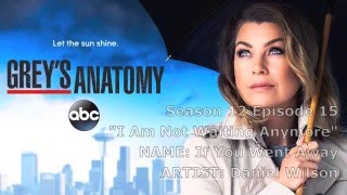 Grey&#39;s Anatomy Soundtrack - &quot;If You Went Away&quot; by Daniel Wilson (12x15)
