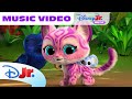 SuperKitties Welcome To Our Jungle Song Disneyjr ​