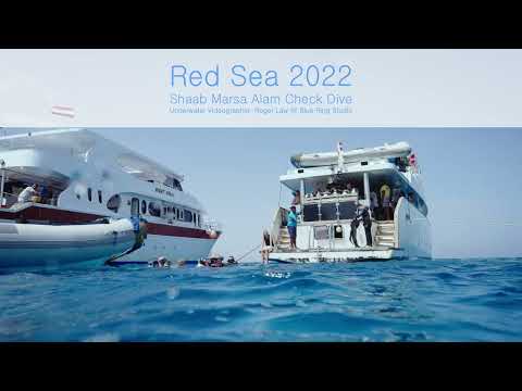 Red Sea 2022《Shaab Marsa Alam Check Dive》