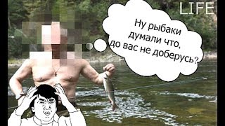 Проверить рыболовный штраф