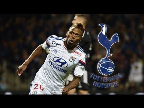 Clinton N'Jie ● Welcome to Tottenham Hotspur FC 2016● Goals, Skills, Assists 2015