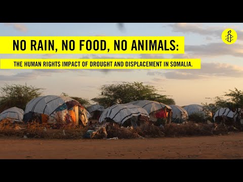 Voices from Dadaab