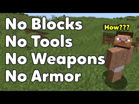 Minecraft With No Blocks, Tools, Weapons, or Armor