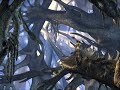 Kaena PS2 Part 4 English