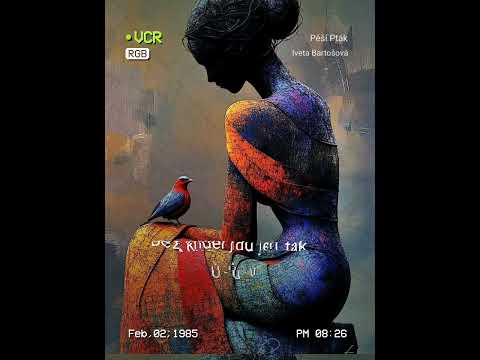 COVER Pěší  Ptak  lveta  Bartošová