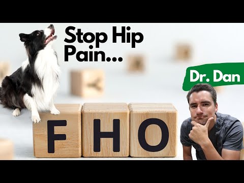 YouTube video about: How much does hip dysplasia surgery cost for dogs?