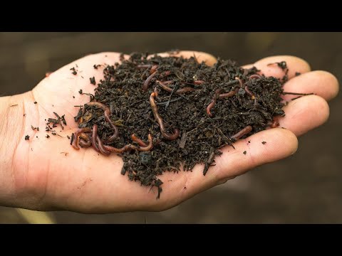 Best4Soil: Vermicompost – Practical Information ET